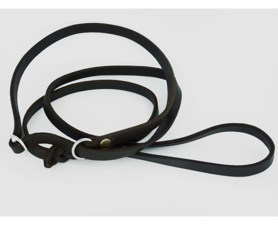 Lesa prezentare expozitie piele naturala