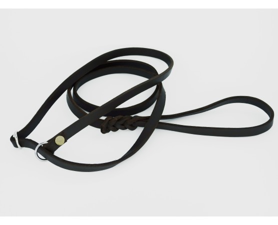 Lesa prezentare expozitie piele naturala