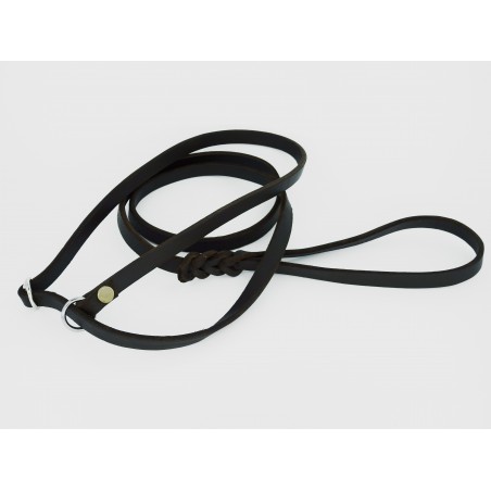 Lesa prezentare expozitie piele naturala