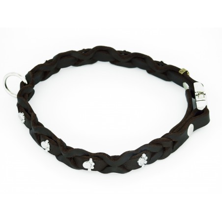 Set zgarda si lesa pentru caini , din piele naturala