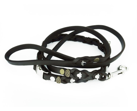 Set zgarda si lesa pentru caini , din piele naturala