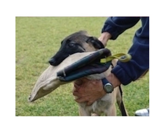 Manson protectie dresaj iuta Euro Joe nr.1