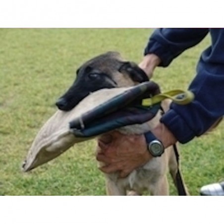 Manson protectie dresaj iuta Euro Joe nr.1