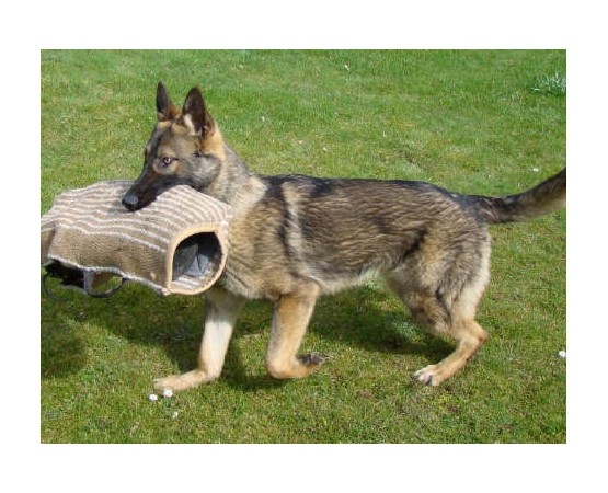 Protectie brat cu manson din iuta cu maner pentru pui