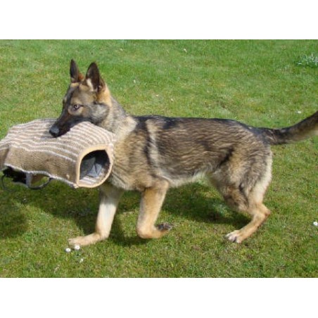 Protectie brat cu manson din iuta cu maner pentru pui