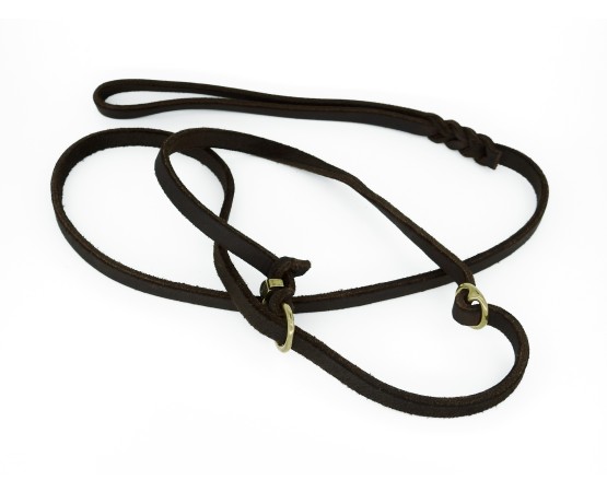 Lesa de lux pentru prezentare caini expozitii canine