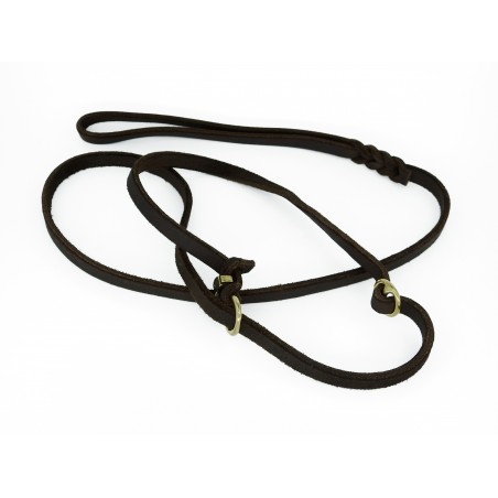 Lesa de lux pentru prezentare caini expozitii canine