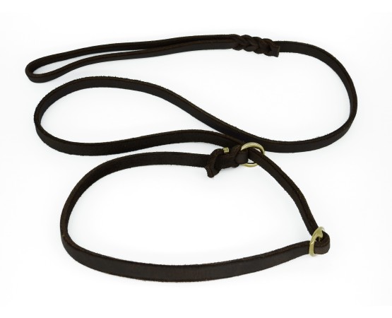 Lesa de lux pentru prezentare caini expozitii canine