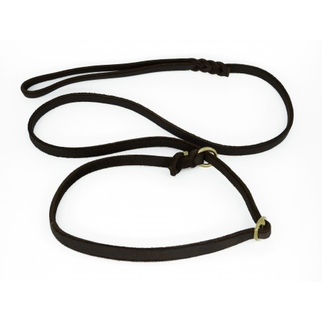 Lesa de lux pentru prezentare caini expozitii canine