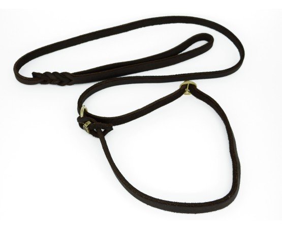 Lesa de lux pentru prezentare caini expozitii canine