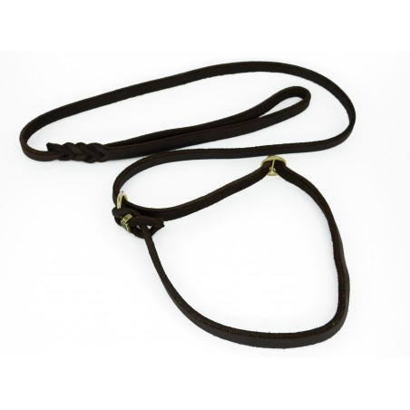 Lesa de lux pentru prezentare caini expozitii canine