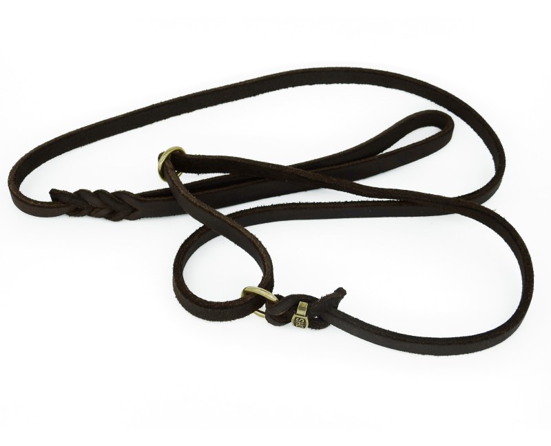 Lesa de lux pentru prezentare caini expozitii canine