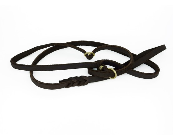 Lesa de lux pentru prezentare caini expozitii canine