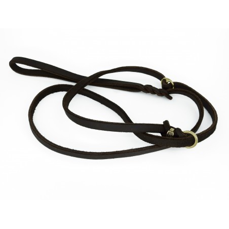 Lesa de lux pentru prezentare caini expozitii canine