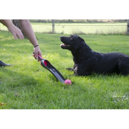 Lansator pentru mingii caini Verde