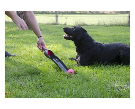 Lansator pentru mingii caini Pink
