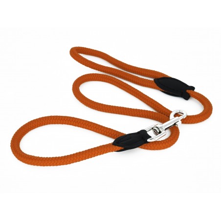 Lesa pentru caini din Twine