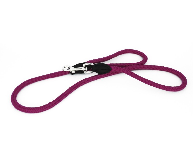 Lesa pentru caini din Twine