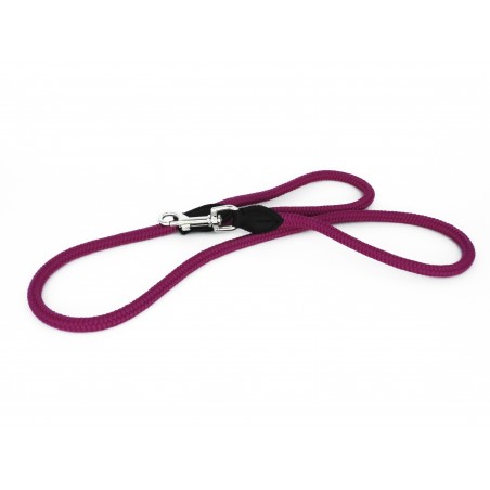 Lesa pentru caini din Twine