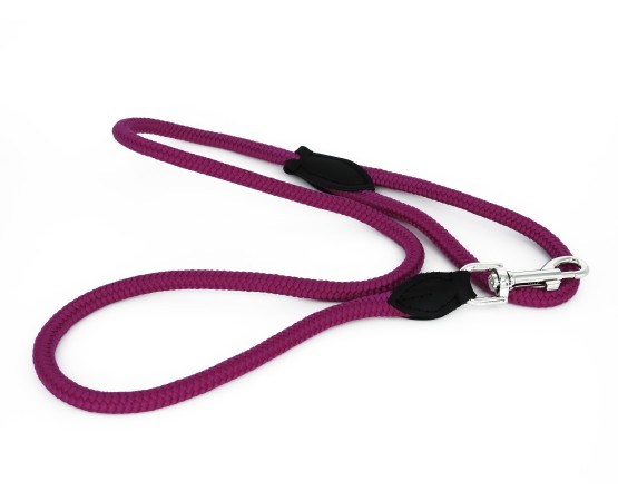 Lesa pentru caini din Twine