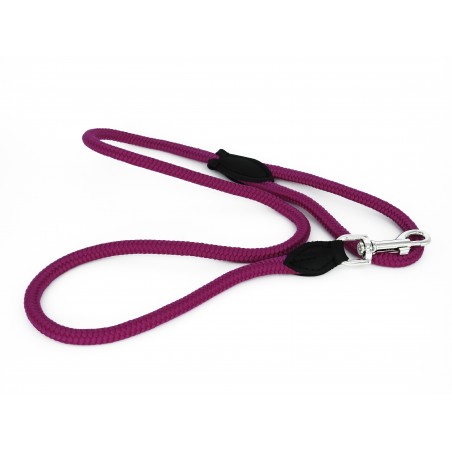 Lesa pentru caini din Twine