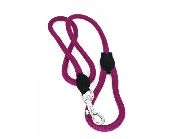 Lesa pentru caini din Twine