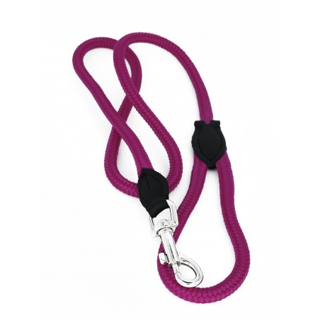 Lesa pentru caini din Twine