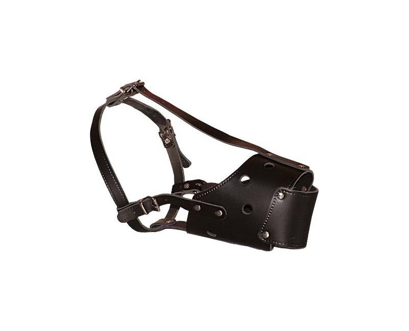 Botnita din piele pentru Amstaff femela