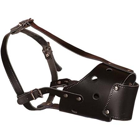 Botnita din piele pentru Amstaff femela