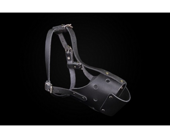 Botnita din piele pentru Amstaff femela