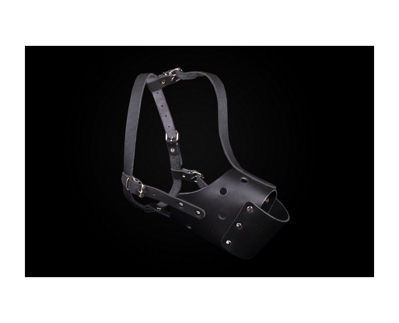 Botnita pentru Amstaff mascul