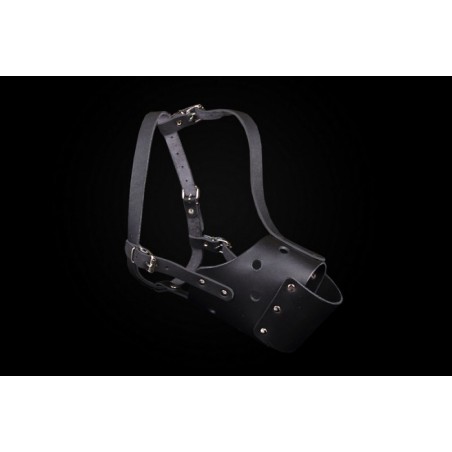 Botnita pentru Amstaff mascul