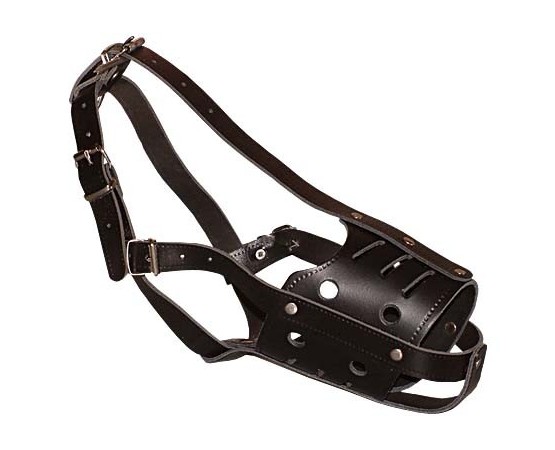 Botnita din piele naturala pentru Ciobanesc German