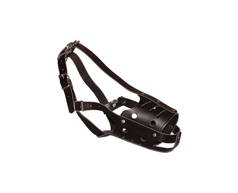 Botnita din piele naturala pentru Ciobanesc German