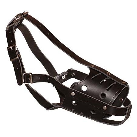 Botnita din piele naturala pentru Ciobanesc German