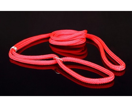 Lesa pentru prezentare expozitii canine ( show )