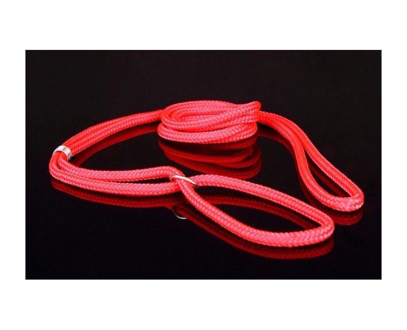 Lesa pentru prezentare expozitii canine ( show )