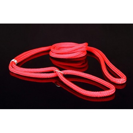 Lesa pentru prezentare expozitii canine ( show )