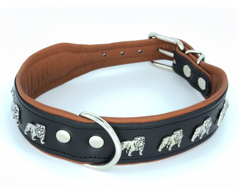 Zgarda de lux pentru Bulldog Englez