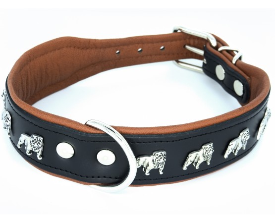 Zgarda de lux pentru Bulldog Englez