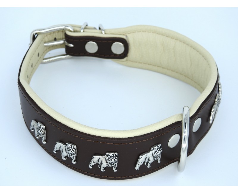 Zgarda de lux pentru Bulldog Englez