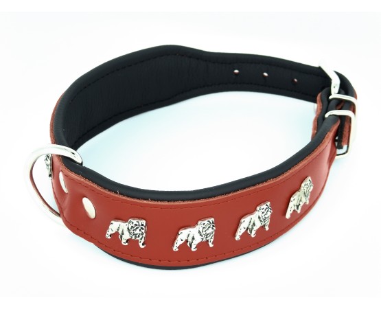 Zgarda de lux pentru Bulldog Englez