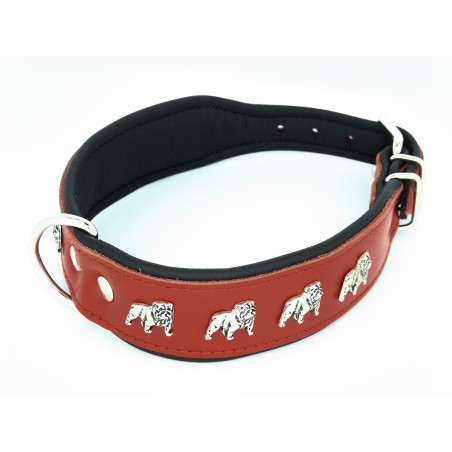 Zgarda de lux pentru Bulldog Englez