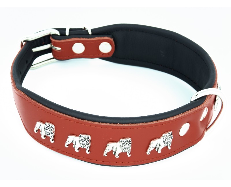 Zgarda de lux pentru Bulldog Englez