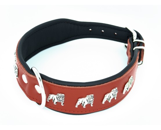 Zgarda de lux pentru Bulldog Englez