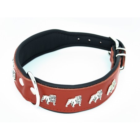 Zgarda de lux pentru Bulldog Englez