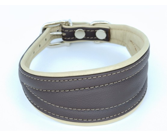 Zgarda de lux pentru Ogari ( Greyhound )