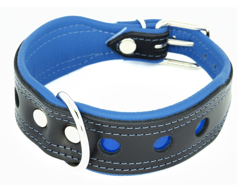 Zgarda de lux pentru caini Light Reflect