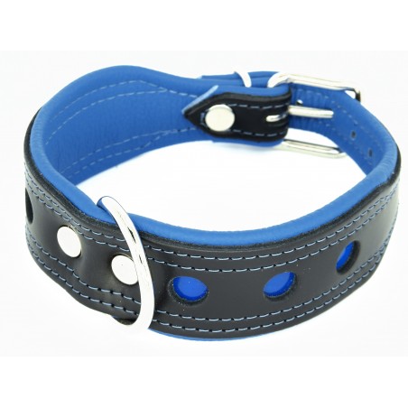 Zgarda de lux pentru caini Light Reflect