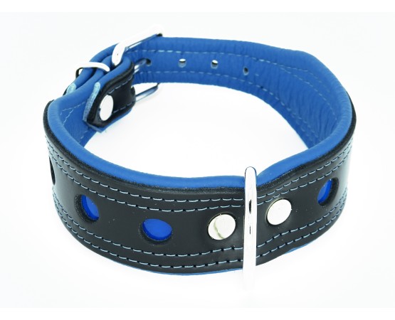 Zgarda de lux pentru caini Light Reflect